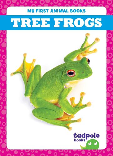 Cover image for Tree Frogs