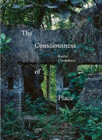Cover image for The Consciousness of Place