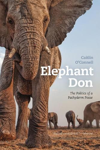 Cover image for Elephant Don: The Politics of a Pachyderm Posse