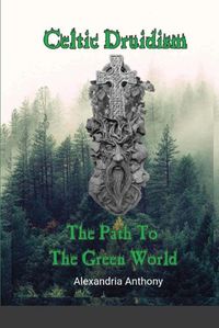 Cover image for Celtic Druidism