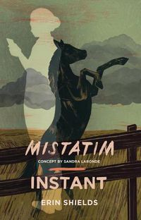 Cover image for Mistatim / Instant