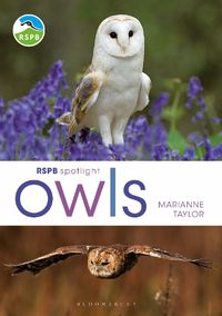 Cover image for RSPB Spotlight Owls