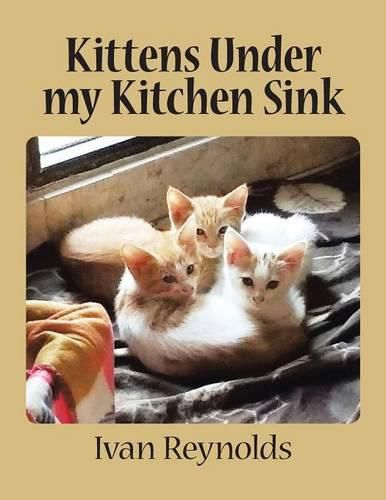 Cover image for Kittens Under My Kitchen Sink