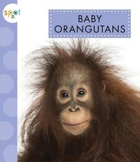 Cover image for Baby Orangutans