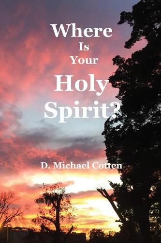 Cover image for Where Is Your Holy Spirit?