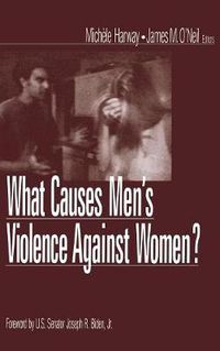 Cover image for What Causes Men's Violence Against Women?