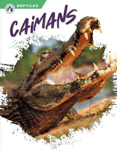 Cover image for Caimans