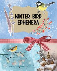 Cover image for Winter Bird Ephemera Collection