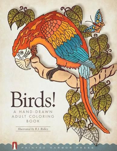 Cover image for Birds!: A Hand-Drawn Adult Coloring Book