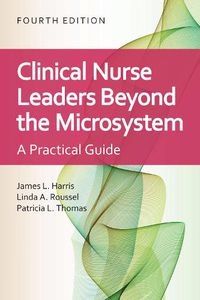 Cover image for Clinical Nurse Leaders Beyond the Microsystem: A Practical Guide