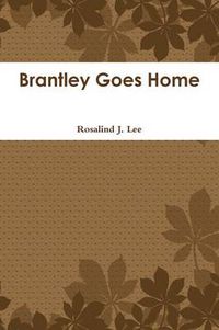 Cover image for Brantley Goes Home