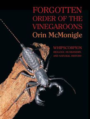 Cover image for Forgotten Order of the Vinegaroons: Whipscorpion Biology, Husbandry, and Natural History