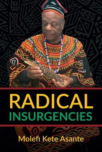 Cover image for Radical Insurgencies