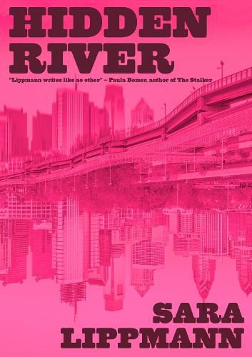Cover image for Hidden River