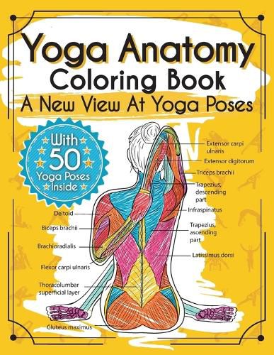 Cover image for Yoga Anatomy Coloring Book: A New View At Yoga Poses