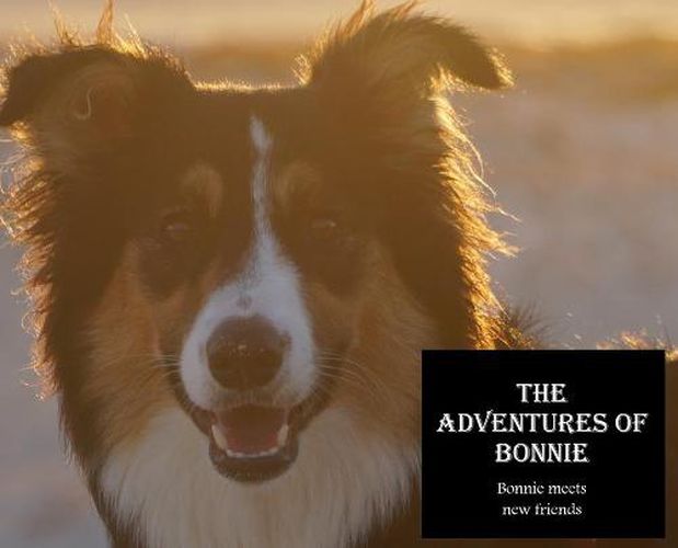 Cover image for The Adventures of Bonnie: Bonnie meets new friends