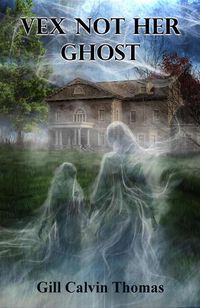 Cover image for Vex Not Her Ghost