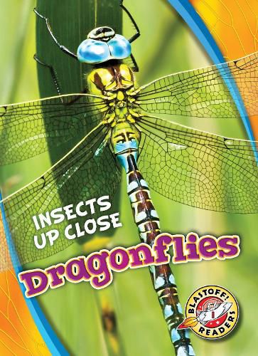 Cover image for Dragonflies