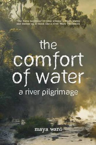 Cover image for The Comfort of Water: A River Pilgrimage