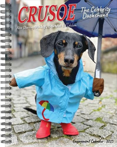 Crusoe the Celebrity Dachshund 2025 6.5 X 8.5 Engagement Calendar