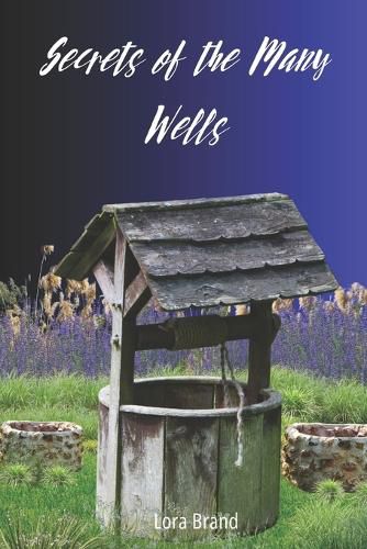 Cover image for Secrets of the Many Wells