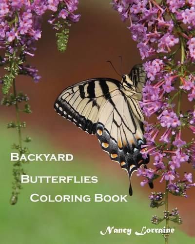 Cover image for Backyard Butterflies Coloring Book