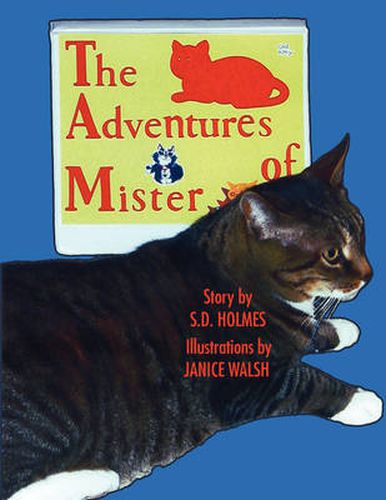 Cover image for The Adventures of Mister