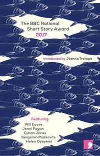 Cover image for The BBC National Short Story Award 2017