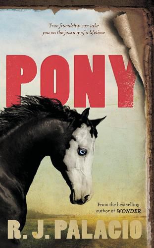 Cover image for Pony