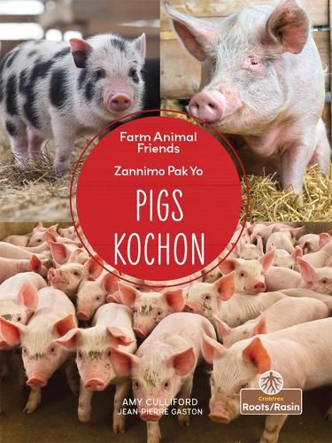 Kochon (Pigs) Bilingual Eng/Cre