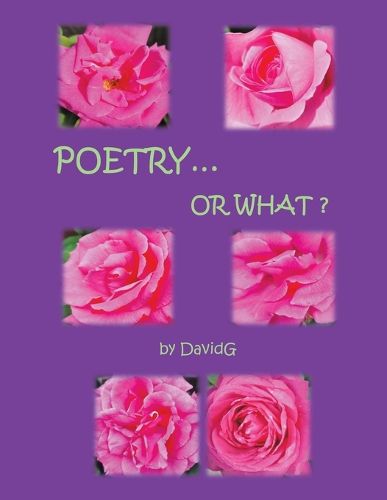 Cover image for Poetry...or What?