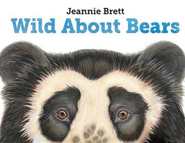 Cover image for Wild About Bears