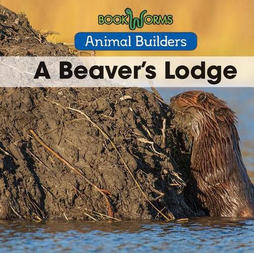 Cover image for A Beaver's Lodge