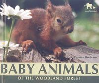 Cover image for Baby Animals of the Woodland Forest