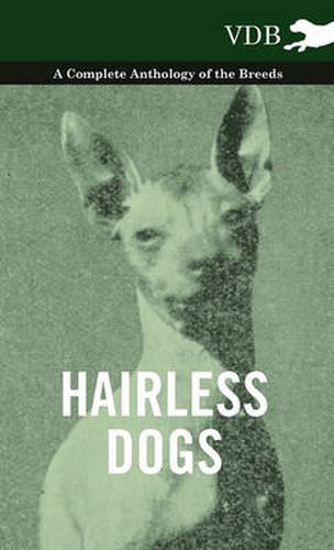 Cover image for Hairless Dogs - A Complete Anthology of the Breeds