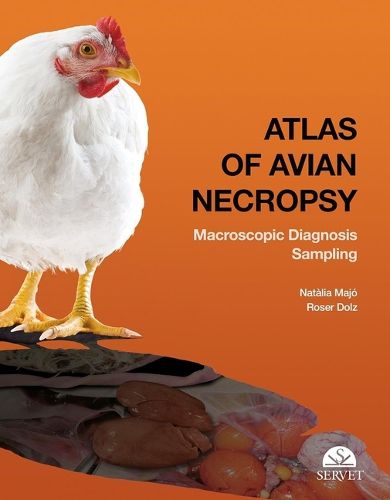 Cover image for Atlas of Avian Necropsy / Natalia Majo