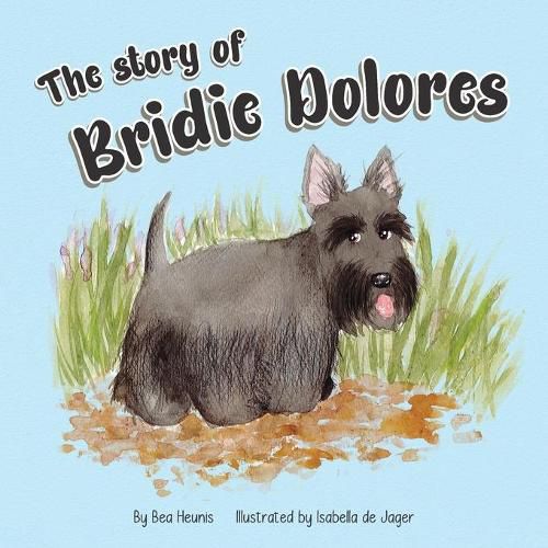 Cover image for The Story of Bridie Dolores