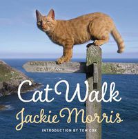 Cover image for Cat Walk