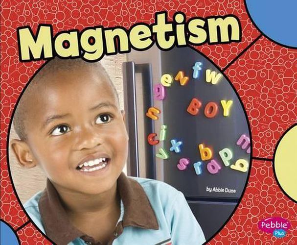 Cover image for Magnetism