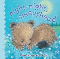 Cover image for Night-Night, Sleepyhead: A Chock-a-Block Book