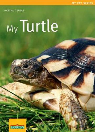 Cover image for My Turtle