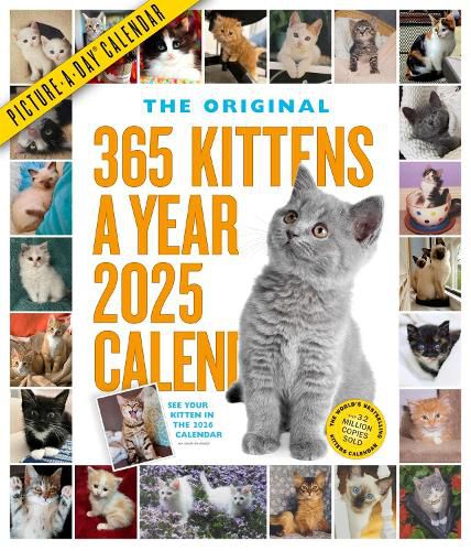 365 Kittens-A-Year Picture-A-Day (R) Wall Calendar 2025