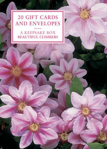 Cover image for Beautiful Climbers