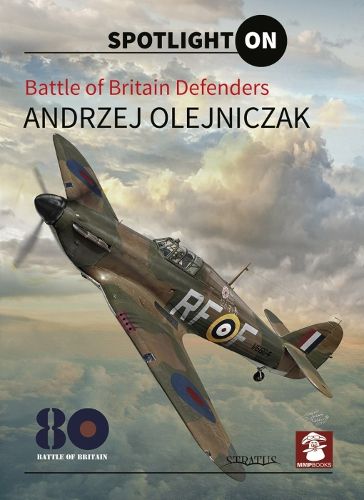 Cover image for Battle Of Britain Defenders