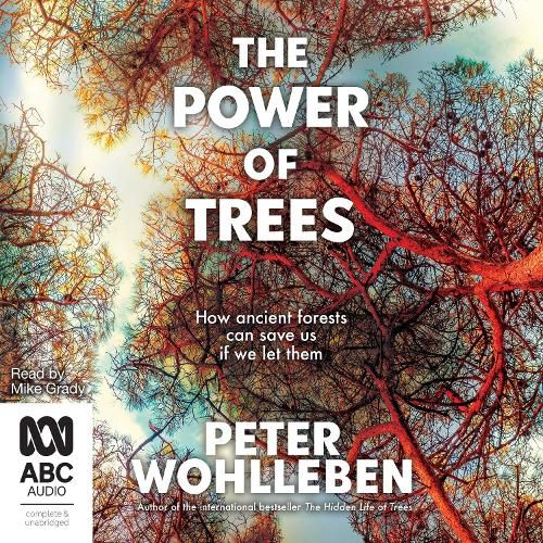 Cover image for The Power of Trees