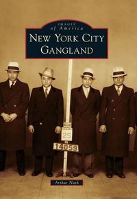 Cover image for New York City Gangland