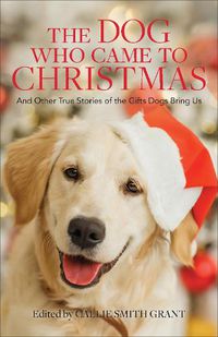 Cover image for The Dog Who Came to Christmas - And Other True Stories of the Gifts Dogs Bring Us