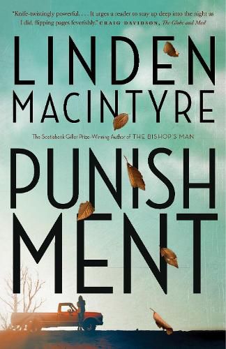 Cover image for Punishment