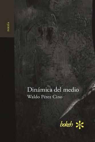 Cover image for Dinamica del medio