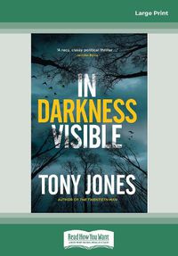 Cover image for In Darkness Visible